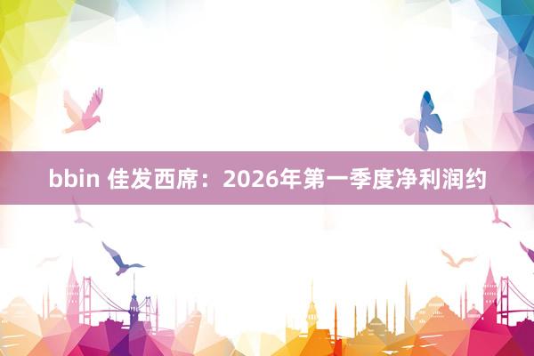 bbin 佳发西席：2026年第一季度净利润约