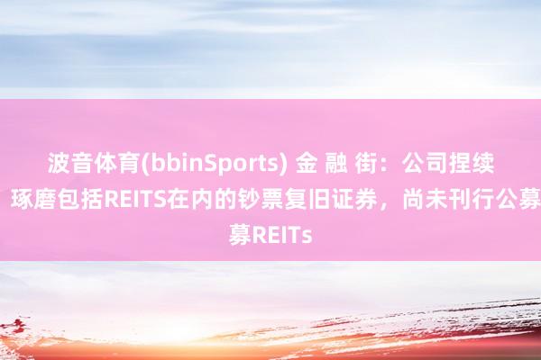 波音体育(bbinSports) 金 融 街：公司捏续体恤、琢磨包括REITS在内的钞票复旧证券，尚未刊行公募REITs