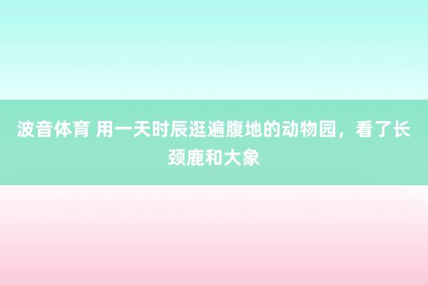 波音体育 用一天时辰逛遍腹地的动物园，看了长颈鹿和大象