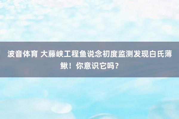 波音体育 大藤峡工程鱼说念初度监测发现白氏薄鳅！你意识它吗？
