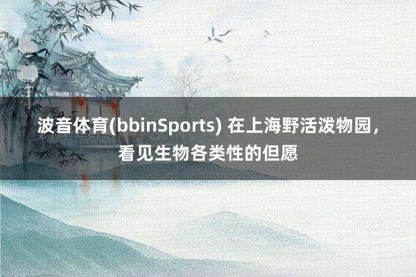 波音体育(bbinSports) 在上海野活泼物园，看见生物各类性的但愿