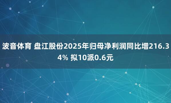 波音体育 盘江股份2025年归母净利润同比增216.34% 拟10派0.6元
