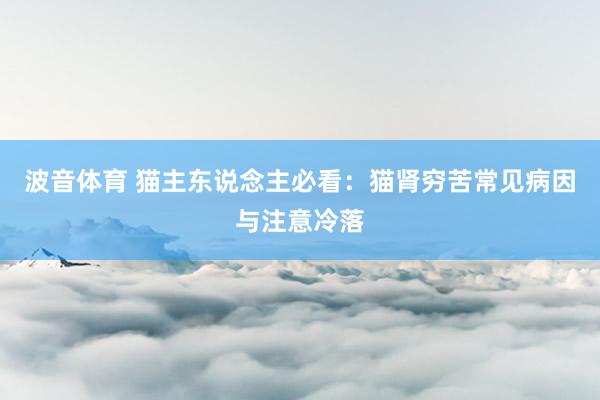 波音体育 猫主东说念主必看：猫肾穷苦常见病因与注意冷落
