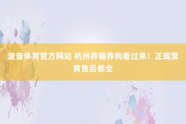 波音体育官方网站 杭州养猫养狗看过来！正规繁育售后都全
