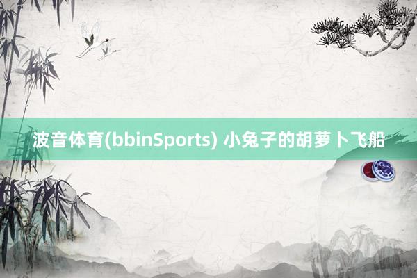 波音体育(bbinSports) 小兔子的胡萝卜飞船