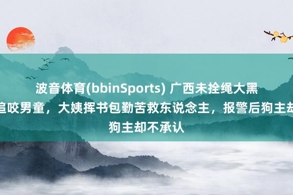 波音体育(bbinSports) 广西未拴绳大黑狗猖獗追咬男童，大姨挥书包勤苦救东说念主，报警后狗主却不承认