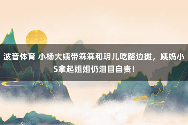 波音体育 小杨大姨带箖箖和玥儿吃路边摊，姨妈小S拿起姐姐仍泪目自责！