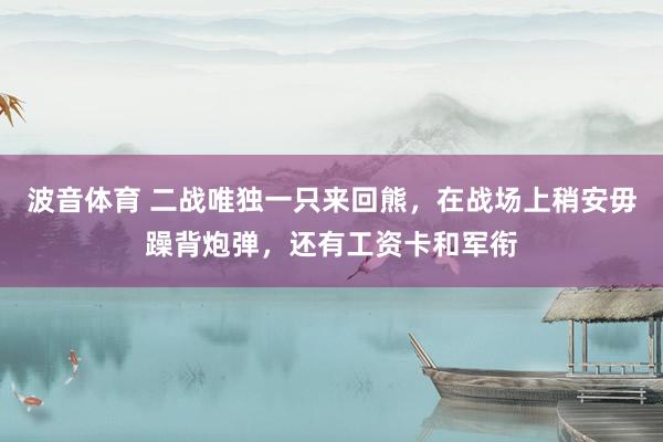波音体育 二战唯独一只来回熊，在战场上稍安毋躁背炮弹，还有工资卡和军衔