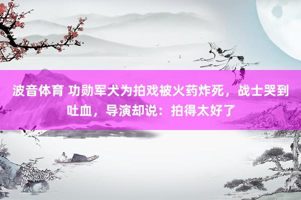 波音体育 功勋军犬为拍戏被火药炸死，战士哭到吐血，导演却说：拍得太好了