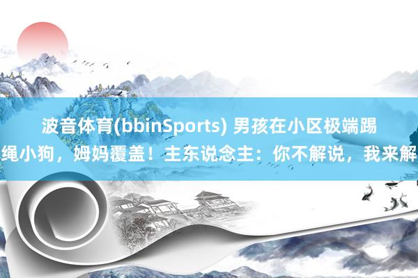 波音体育(bbinSports) 男孩在小区极端踢牵绳小狗，姆妈覆盖！主东说念主：你不解说，我来解说