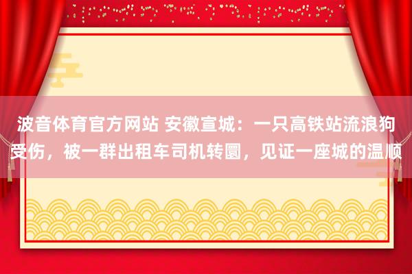 波音体育官方网站 安徽宣城：一只高铁站流浪狗受伤，被一群出租车司机转圜，见证一座城的温顺
