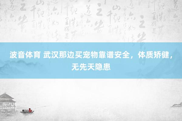 波音体育 武汉那边买宠物靠谱安全，体质矫健，无先天隐患