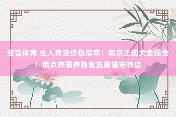 波音体育 生人养宠终极指南！南京正规犬舍猫舍！南京养猫养狗就选靠谱宠物店