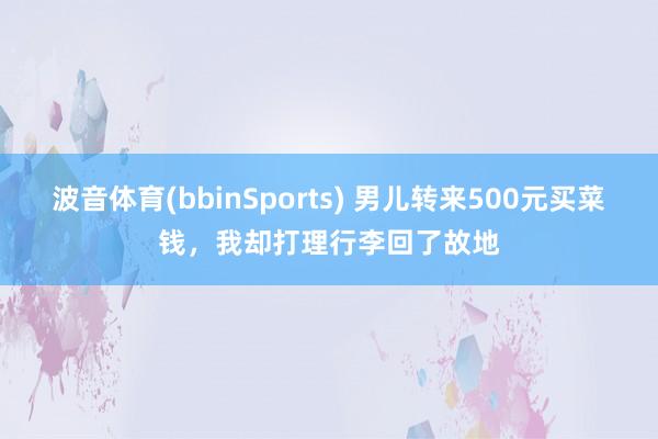 波音体育(bbinSports) 男儿转来500元买菜钱，我却打理行李回了故地