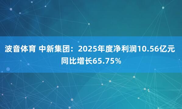 波音体育 中新集团：2025年度净利润10.56亿元 同比增长65.75%