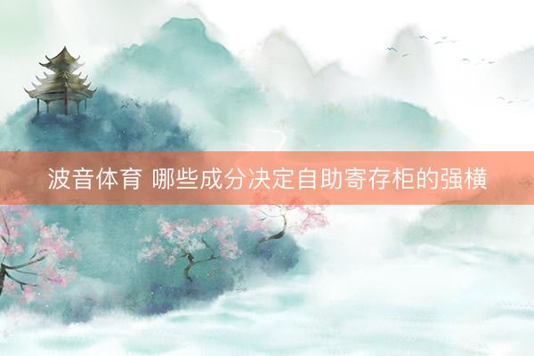 波音体育 哪些成分决定自助寄存柜的强横